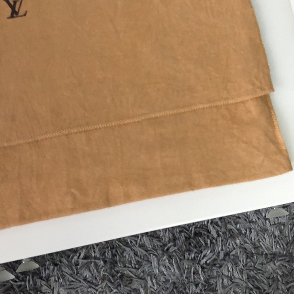 💙LV Vintage Dustbag ( Item #13 ) - Picture 10 of 10